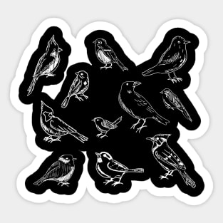 Sparrow House Sparrow Bird Conservation Gift Sticker